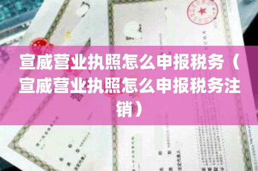 宣威营业执照怎么申报税务（宣威营业执照怎么申报税务注销）