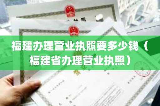 福建办理营业执照要多少钱（福建省办理营业执照）