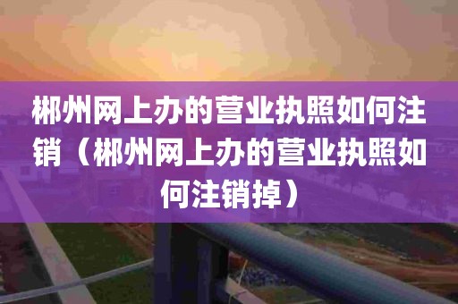 郴州网上办的营业执照如何注销（郴州网上办的营业执照如何注销掉）