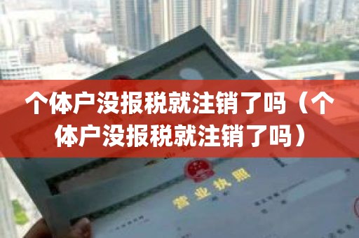 个体户没报税就注销了吗（个体户没报税就注销了吗）