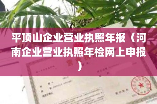 平顶山企业营业执照年报（河南企业营业执照年检网上申报）