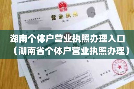 湖南个体户营业执照办理入口（湖南省个体户营业执照办理）