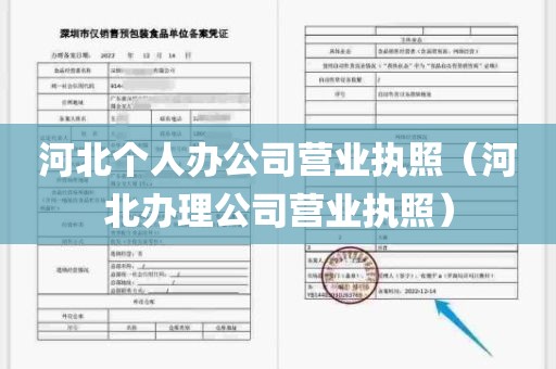 河北个人办公司营业执照（河北办理公司营业执照）