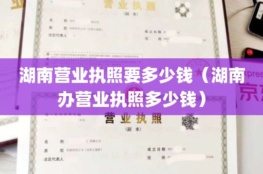 湖南营业执照要多少钱（湖南办营业执照多少钱）