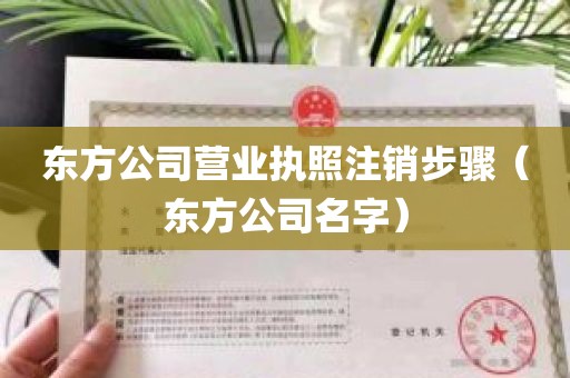 东方公司营业执照注销步骤（东方公司名字）