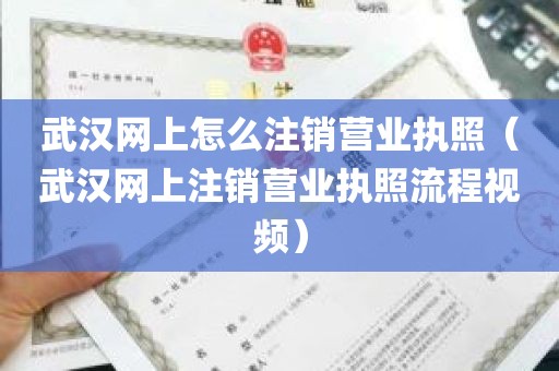 武汉网上怎么注销营业执照（武汉网上注销营业执照流程视频）