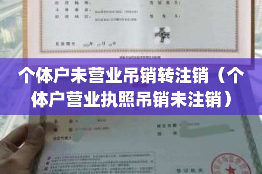 个体户未营业吊销转注销（个体户营业执照吊销未注销）