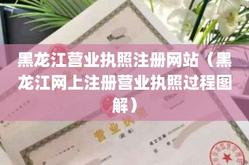 黑龙江营业执照注册网站（黑龙江网上注册营业执照过程图解）