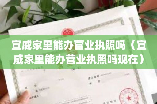 宣威家里能办营业执照吗（宣威家里能办营业执照吗现在）