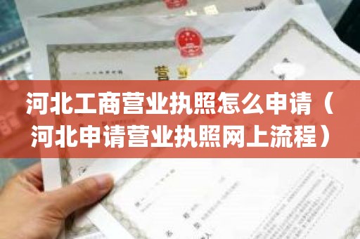 河北工商营业执照怎么申请（河北申请营业执照网上流程）