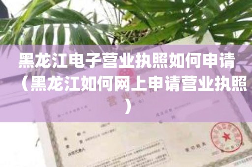 黑龙江电子营业执照如何申请（黑龙江如何网上申请营业执照）