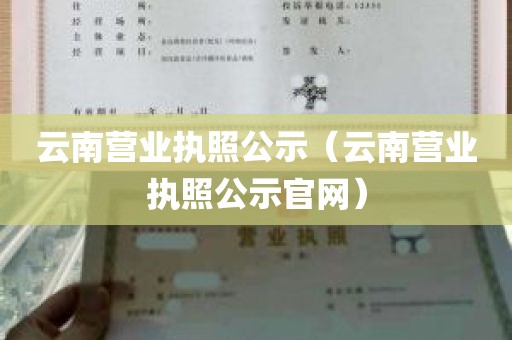 云南营业执照公示（云南营业执照公示官网）