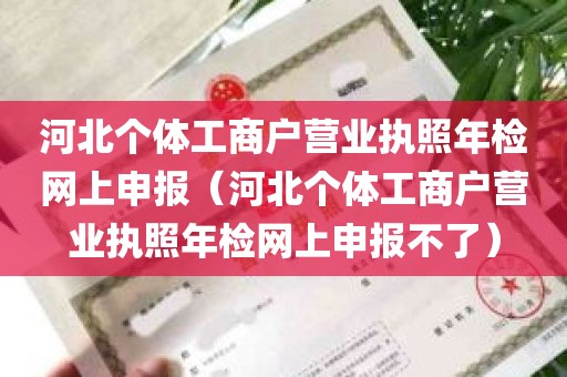 河北个体工商户营业执照年检网上申报（河北个体工商户营业执照年检网上申报不了）