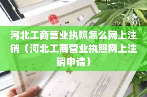 河北工商营业执照怎么网上注销（河北工商营业执照网上注销申请）