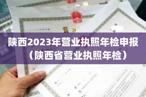 陕西2023年营业执照年检申报（陕西省营业执照年检）