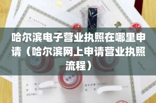 哈尔滨电子营业执照在哪里申请（哈尔滨网上申请营业执照流程）