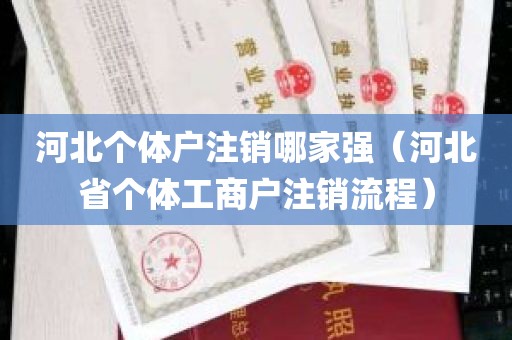 河北个体户注销哪家强（河北省个体工商户注销流程）