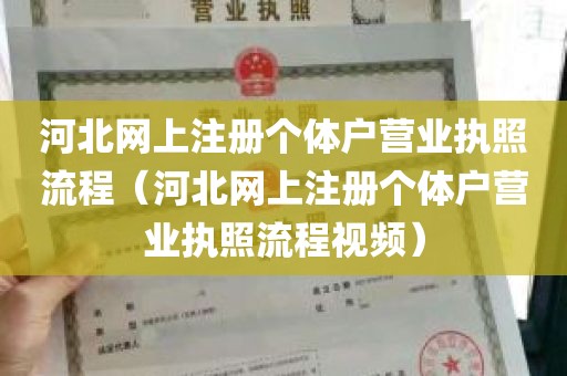 河北网上注册个体户营业执照流程（河北网上注册个体户营业执照流程视频）