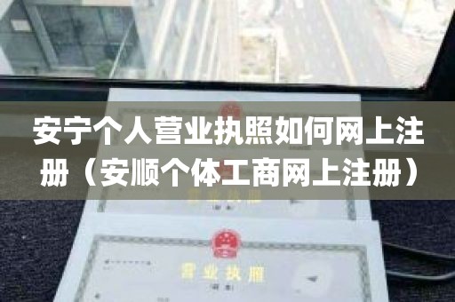 安宁个人营业执照如何网上注册（安顺个体工商网上注册）