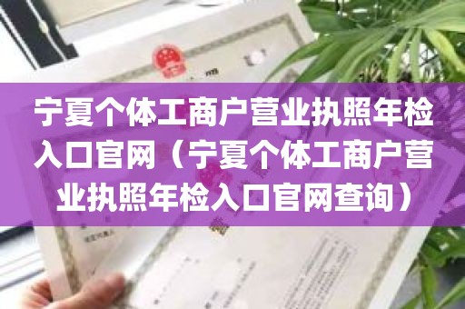 宁夏个体工商户营业执照年检入口官网（宁夏个体工商户营业执照年检入口官网查询）