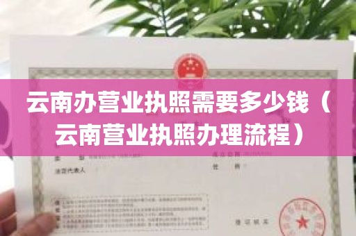 云南办营业执照需要多少钱（云南营业执照办理流程）