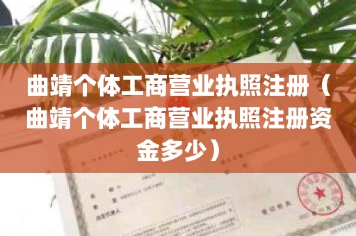 曲靖个体工商营业执照注册（曲靖个体工商营业执照注册资金多少）