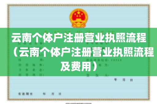 云南个体户注册营业执照流程（云南个体户注册营业执照流程及费用）