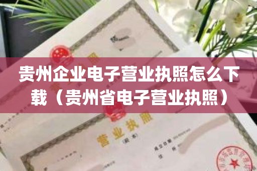 贵州企业电子营业执照怎么下载（贵州省电子营业执照）