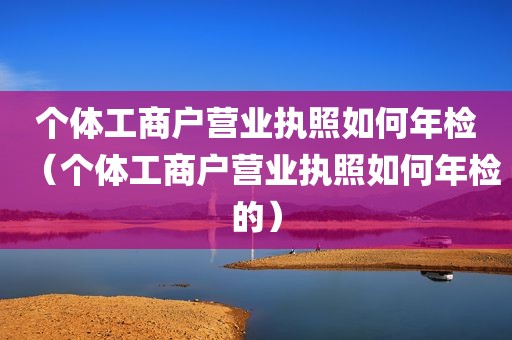 个体工商户营业执照如何年检（个体工商户营业执照如何年检的）