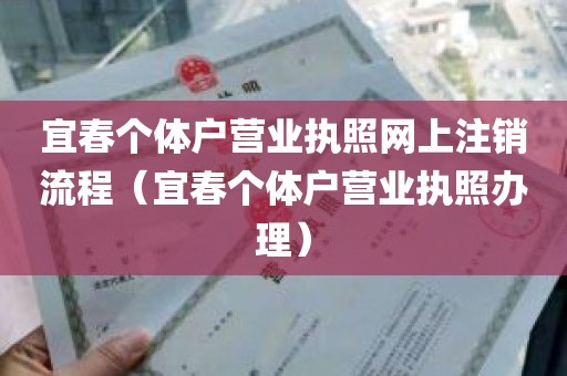 宜春个体户营业执照网上注销流程（宜春个体户营业执照办理）