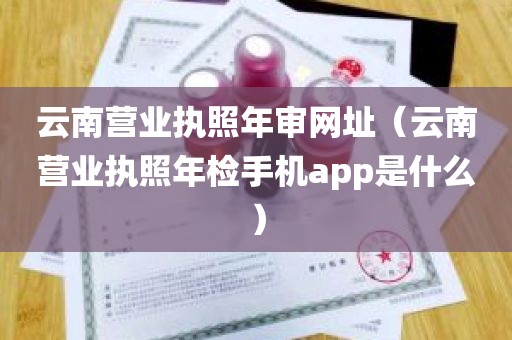 云南营业执照年审网址（云南营业执照年检手机app是什么）