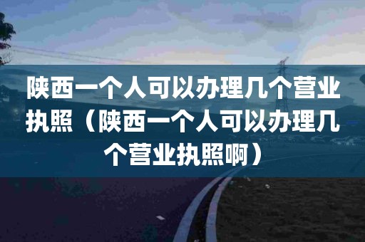 陕西一个人可以办理几个营业执照（陕西一个人可以办理几个营业执照啊）