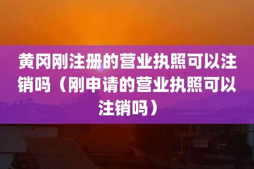 黄冈刚注册的营业执照可以注销吗（刚申请的营业执照可以注销吗）