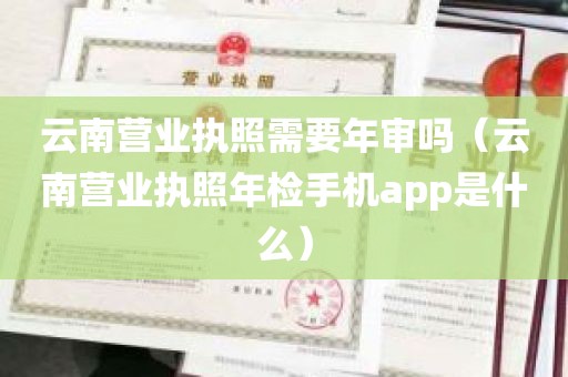 云南营业执照需要年审吗（云南营业执照年检手机app是什么）