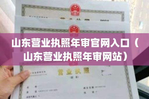 山东营业执照年审官网入口（山东营业执照年审网站）