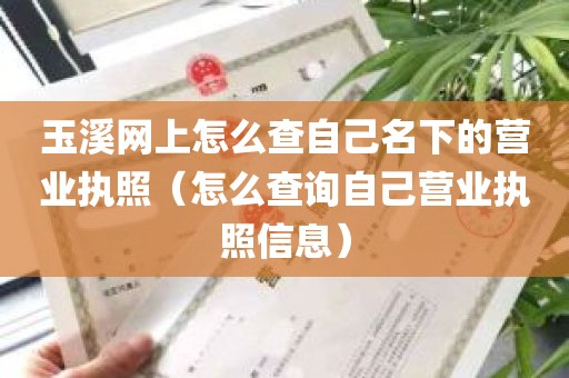 玉溪网上怎么查自己名下的营业执照（怎么查询自己营业执照信息）