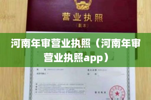 河南年审营业执照（河南年审营业执照app）