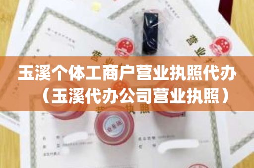 玉溪个体工商户营业执照代办（玉溪代办公司营业执照）