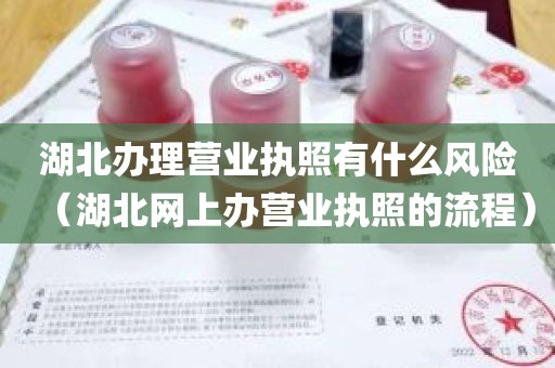 湖北办理营业执照有什么风险（湖北网上办营业执照的流程）