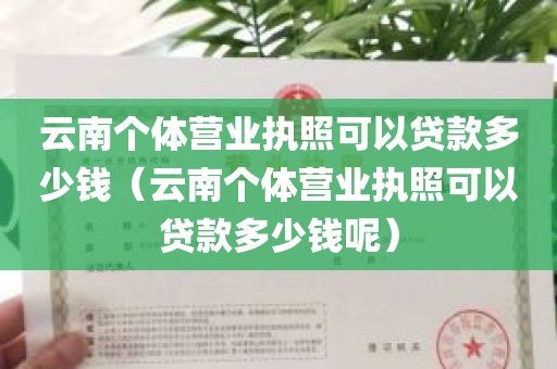 云南个体营业执照可以贷款多少钱（云南个体营业执照可以贷款多少钱呢）