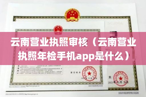 云南营业执照审核（云南营业执照年检手机app是什么）