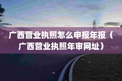 广西营业执照怎么申报年报（广西营业执照年审网址）