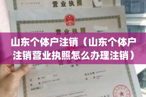 山东个体户注销（山东个体户注销营业执照怎么办理注销）