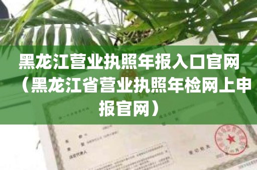 黑龙江营业执照年报入口官网（黑龙江省营业执照年检网上申报官网）