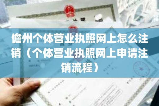 儋州个体营业执照网上怎么注销（个体营业执照网上申请注销流程）