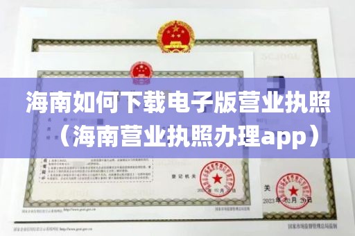 海南如何下载电子版营业执照（海南营业执照办理app）