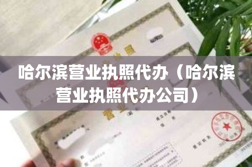 哈尔滨营业执照代办（哈尔滨营业执照代办公司）