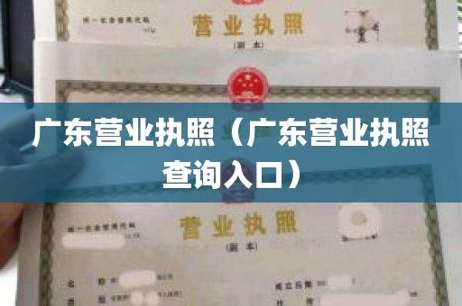 广东营业执照（广东营业执照查询入口）