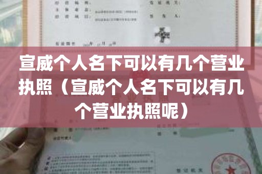 宣威个人名下可以有几个营业执照（宣威个人名下可以有几个营业执照呢）