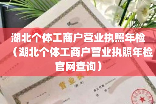 湖北个体工商户营业执照年检（湖北个体工商户营业执照年检官网查询）